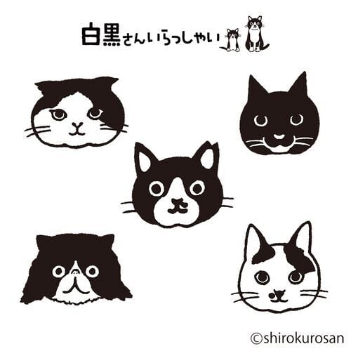 白黒さんいらっしゃい×Miita 靴下 | KNOCK NOK