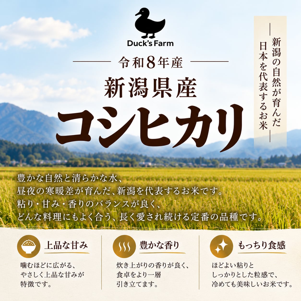 新米】令和8年産コシヒカリ20kg【精米】 | Duck'sfarm