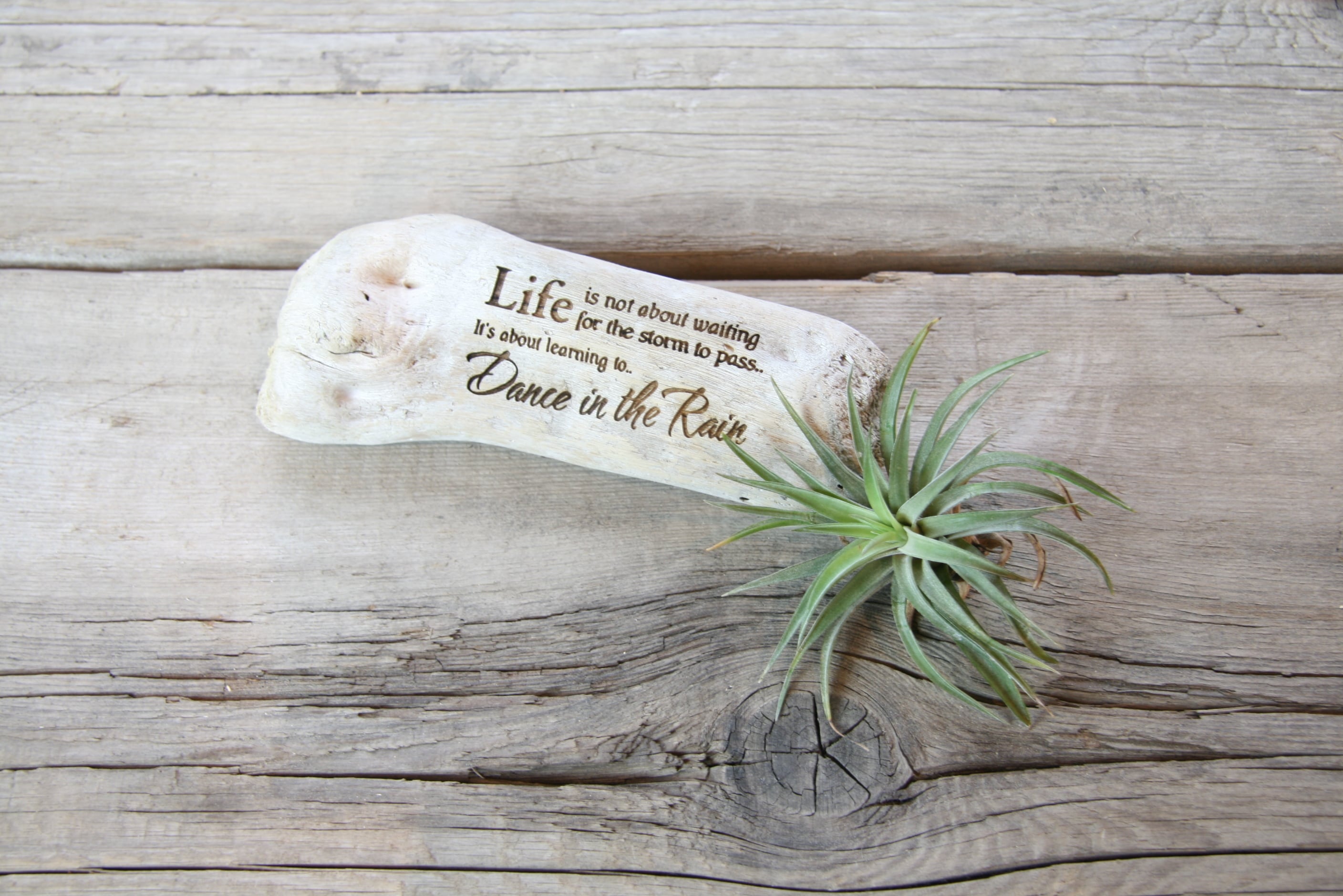 流木インテリア#6