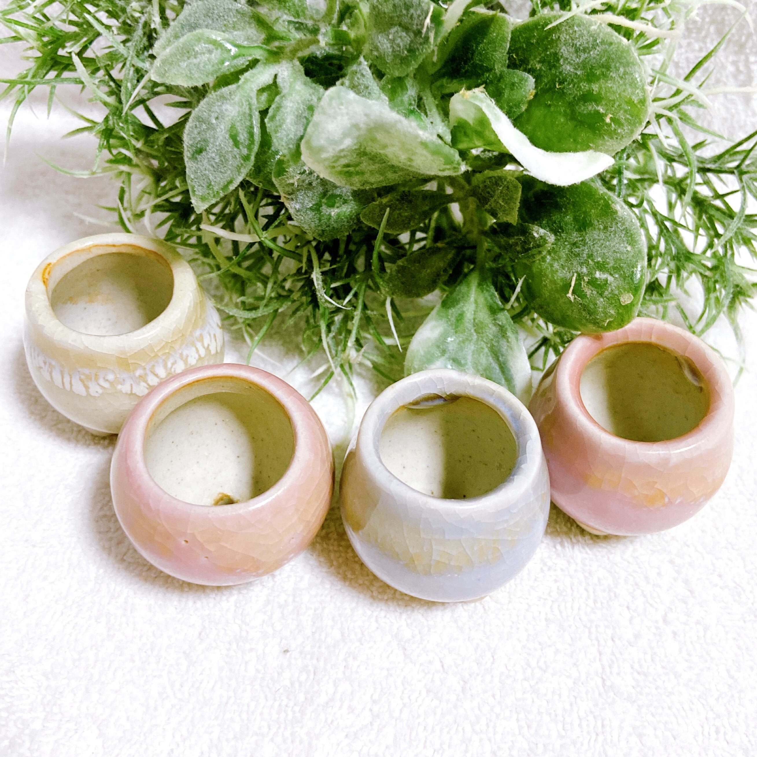 ミニ盆栽やコケ盆栽などに！苔や多肉植物の緑が綺麗に映える 上品な色