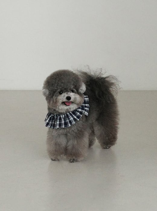 予約【OHDIBS】capeness no.16 _ Navy check