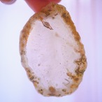 Sea Shallows 06 - アゲートヒーリングチャイム / Agate Sun Catcher Wind Chime 311