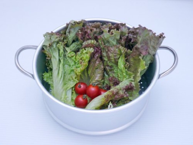 【数量限定】藤田金属 蒸し器 20cm用 日本製 アルミ製 スイト シルバー 005904