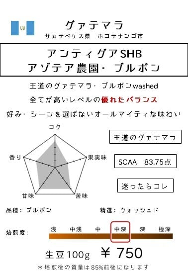 シーンを選ばない万能コーヒー【グァテマラ】アンティグアSHB アゾテア