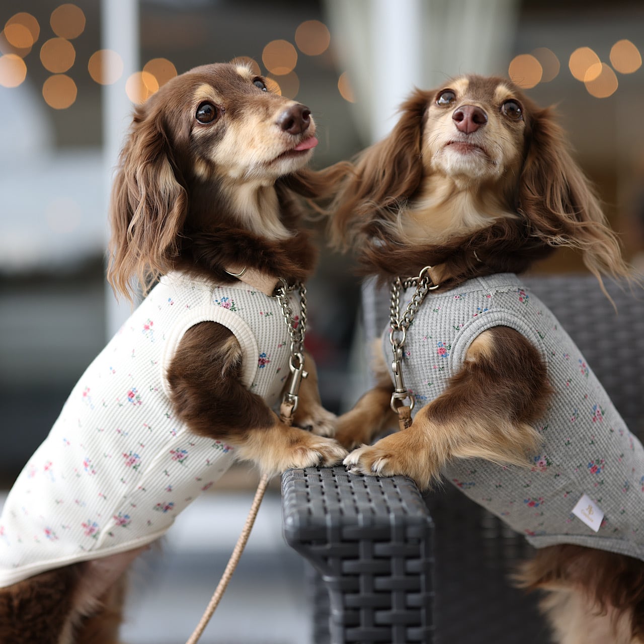 お花ワッフル(レースあり)