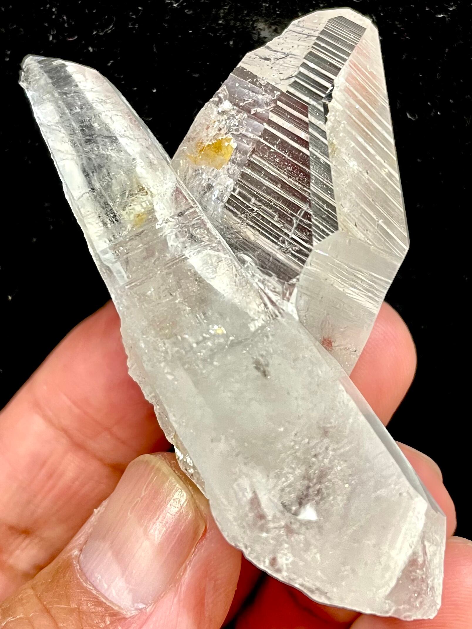 ロシアンレムリアン DT