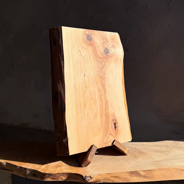 No.430：ヒマラヤ杉