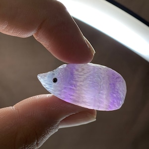 5.フローライトハリネズミさんの住処・~ハリーさんの休憩所~