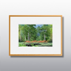 森の扉 #17 ■額縁サイズ(太子)378㎜×288㎜