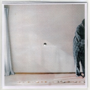 【7/8発売】【LP】タデクイ / MOTHER