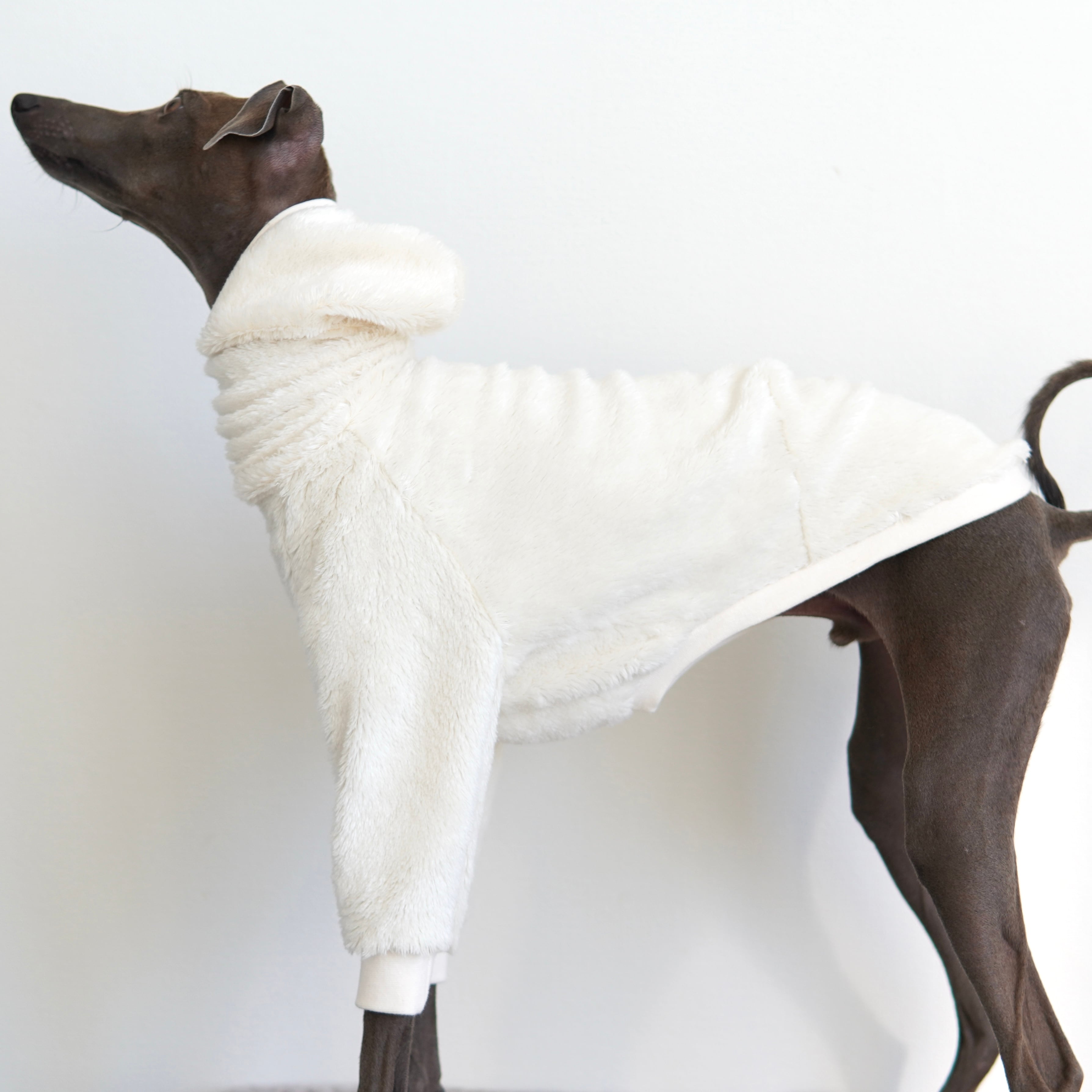 organic cotton pullover | bacio
