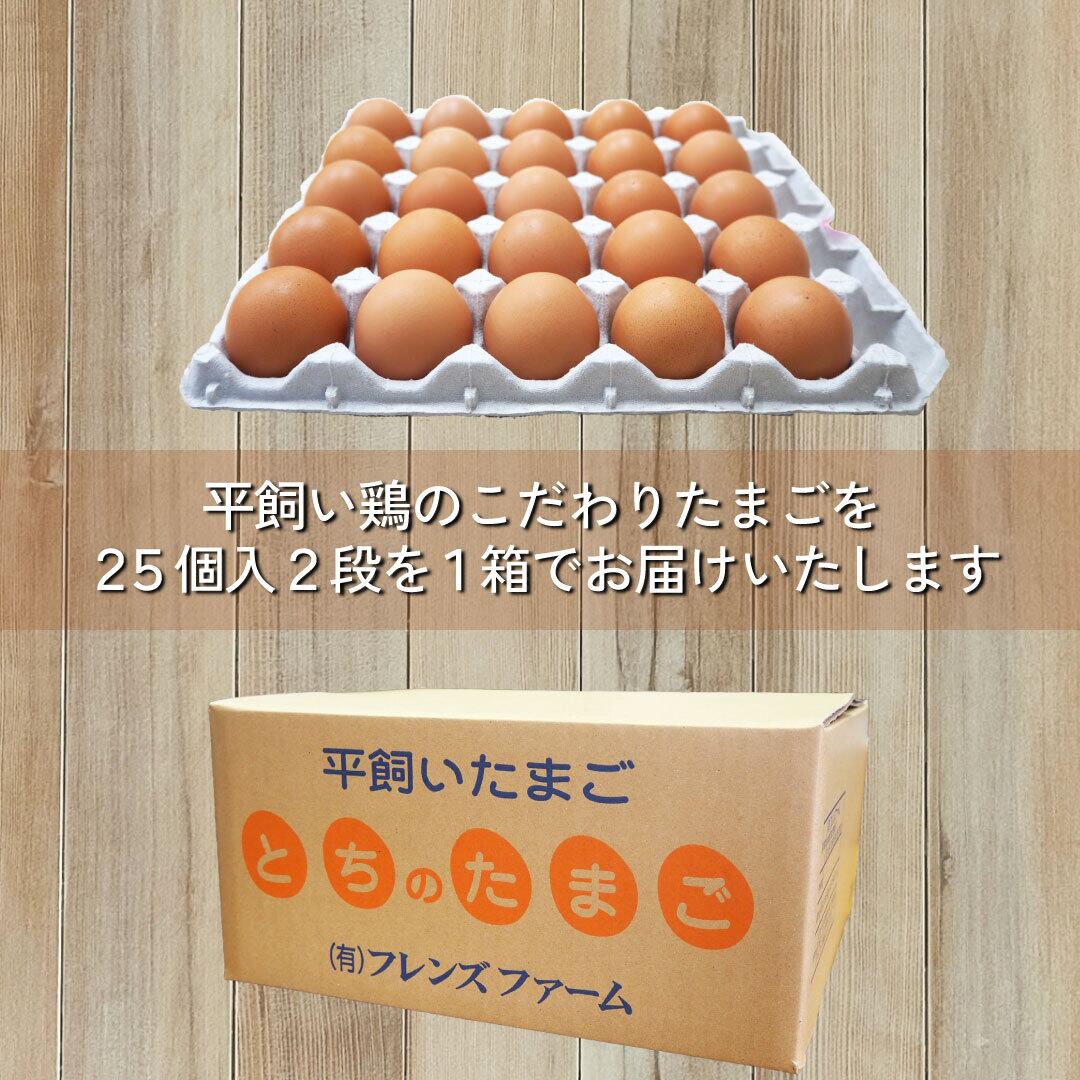 富良野産　平飼いたまご　50個 栃木の平飼いたまご「とちのたまご」50個入 | フレンズファーム｜産直