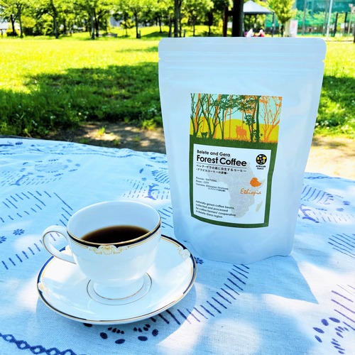 緑の大地が育む野生のコーヒー 「ベレデ・ゲラのコーヒー」（焙煎 粉／180g）