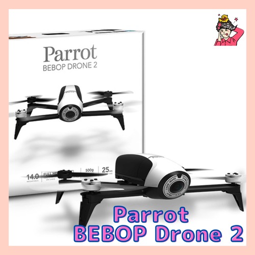 Parrot BEBOP Drone 2 【White】