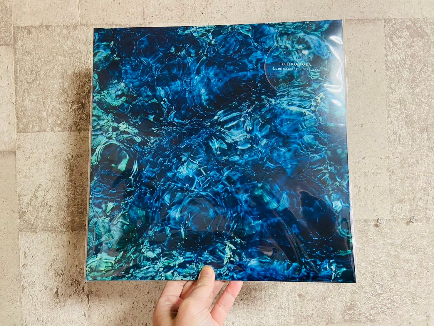 LP】家主/ INTO THE DOOM | HOLIDAY! RECORDS DISTRO