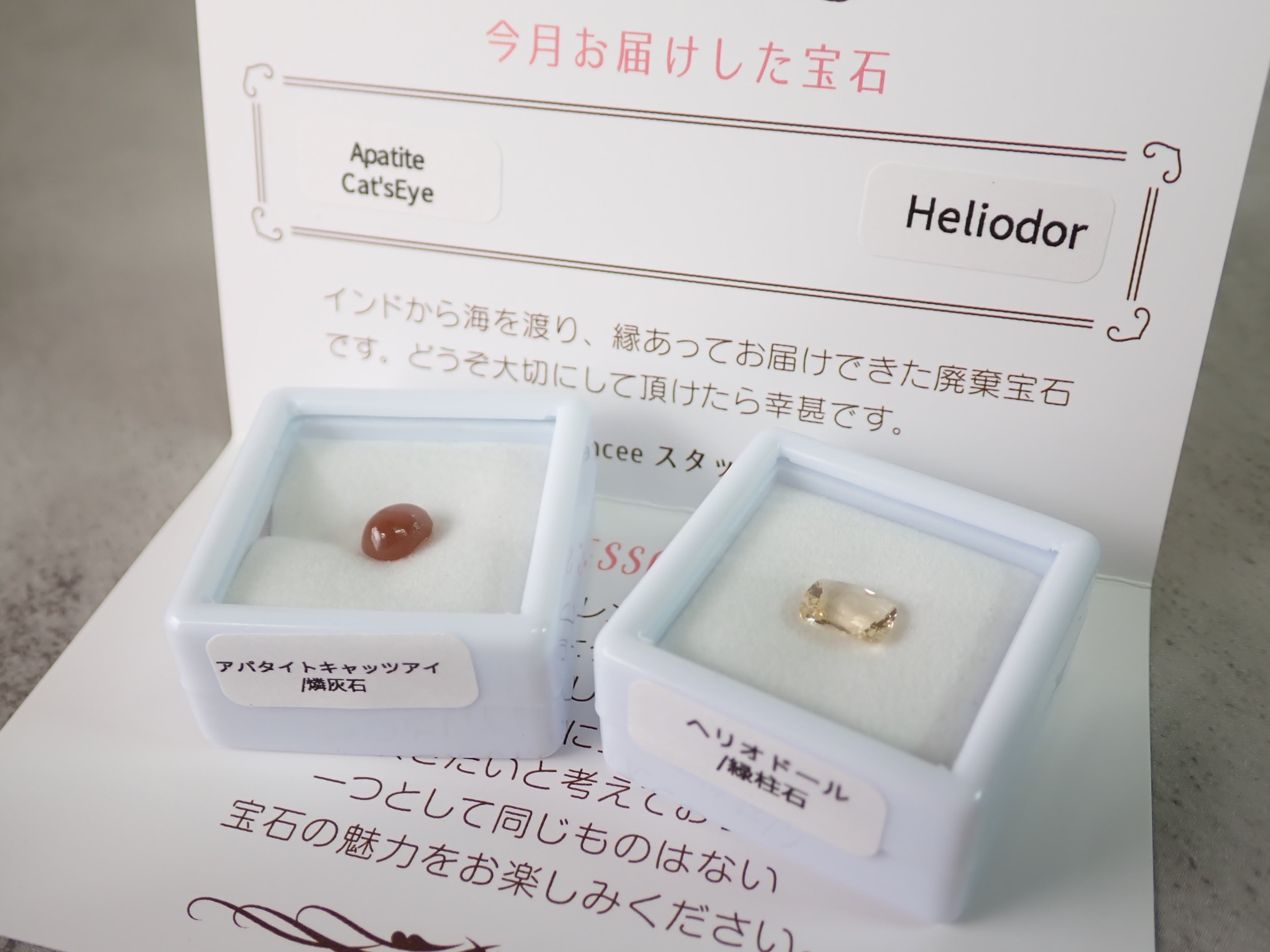 お試し便】廃棄宝石便プレミアムプラン | differencee(ディファレンシー)