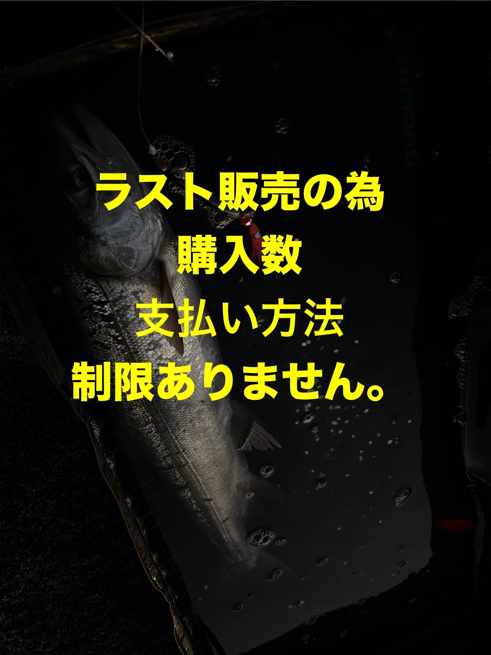 マグトラ