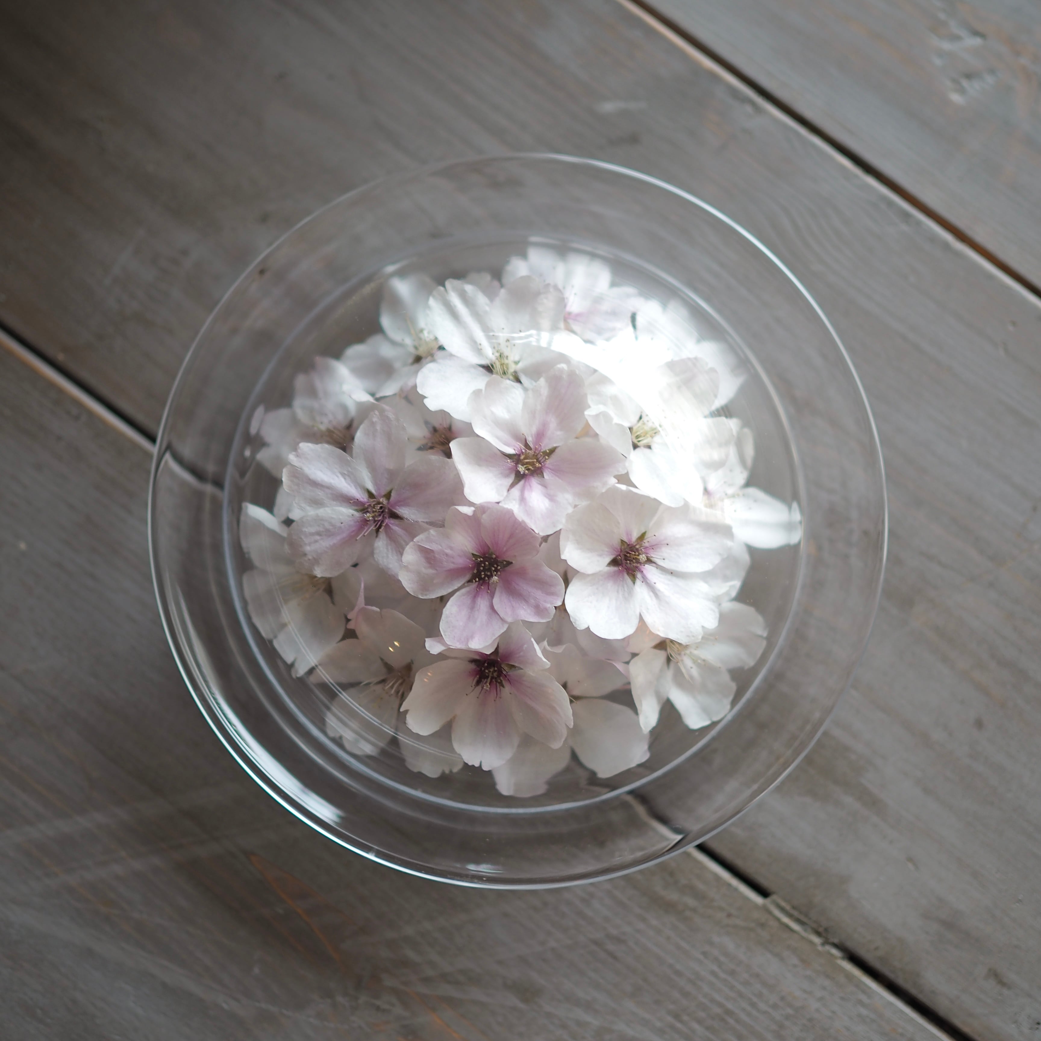 受注生産】ボトルフラワー 桜 ディッシュS | Oak House