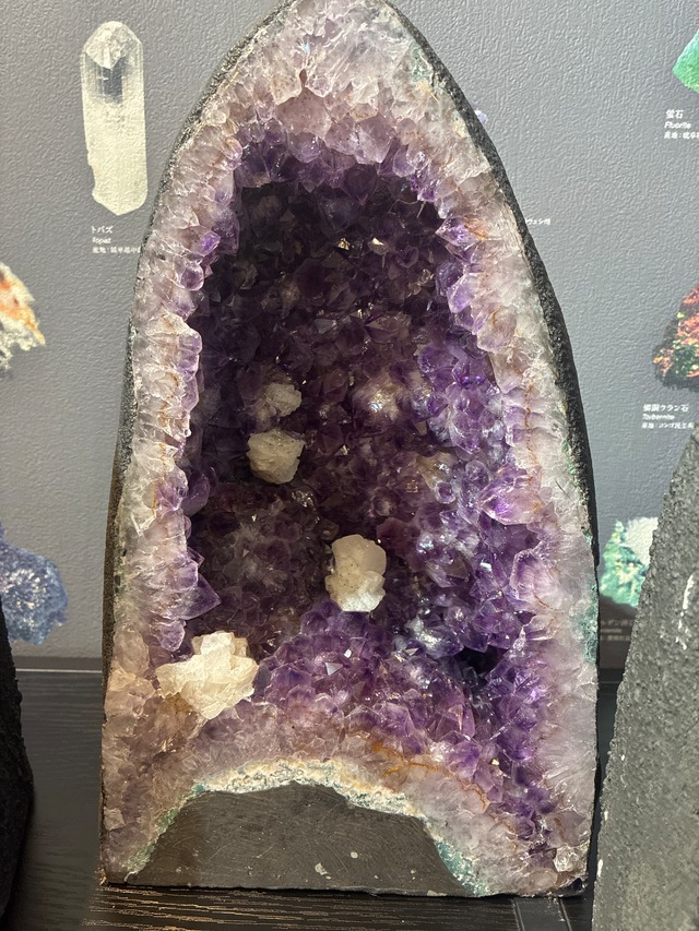 【存在感のある紫の結晶美】ブラジル産 アメジストドーム 原石 約16×19.5×32cm