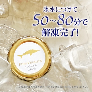 【国産フレッシュキャビア】FISH VEGGIES NAGAOKAキャビア 15g シェルスプーン・化粧箱付き
