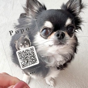 【50枚】うちの子名刺 〜 clear ペット名刺