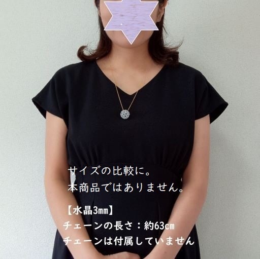 寺澤貴子さんから購入したフラーレンマスター eva.gov.co