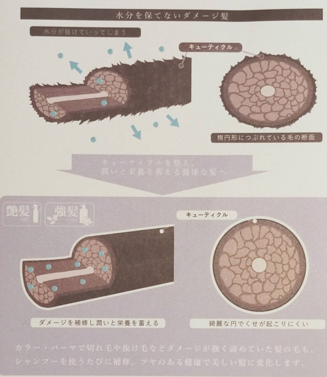 強髪リペアシャンプー 1000ml ヒト幹細胞培養液配合! | PAY ID