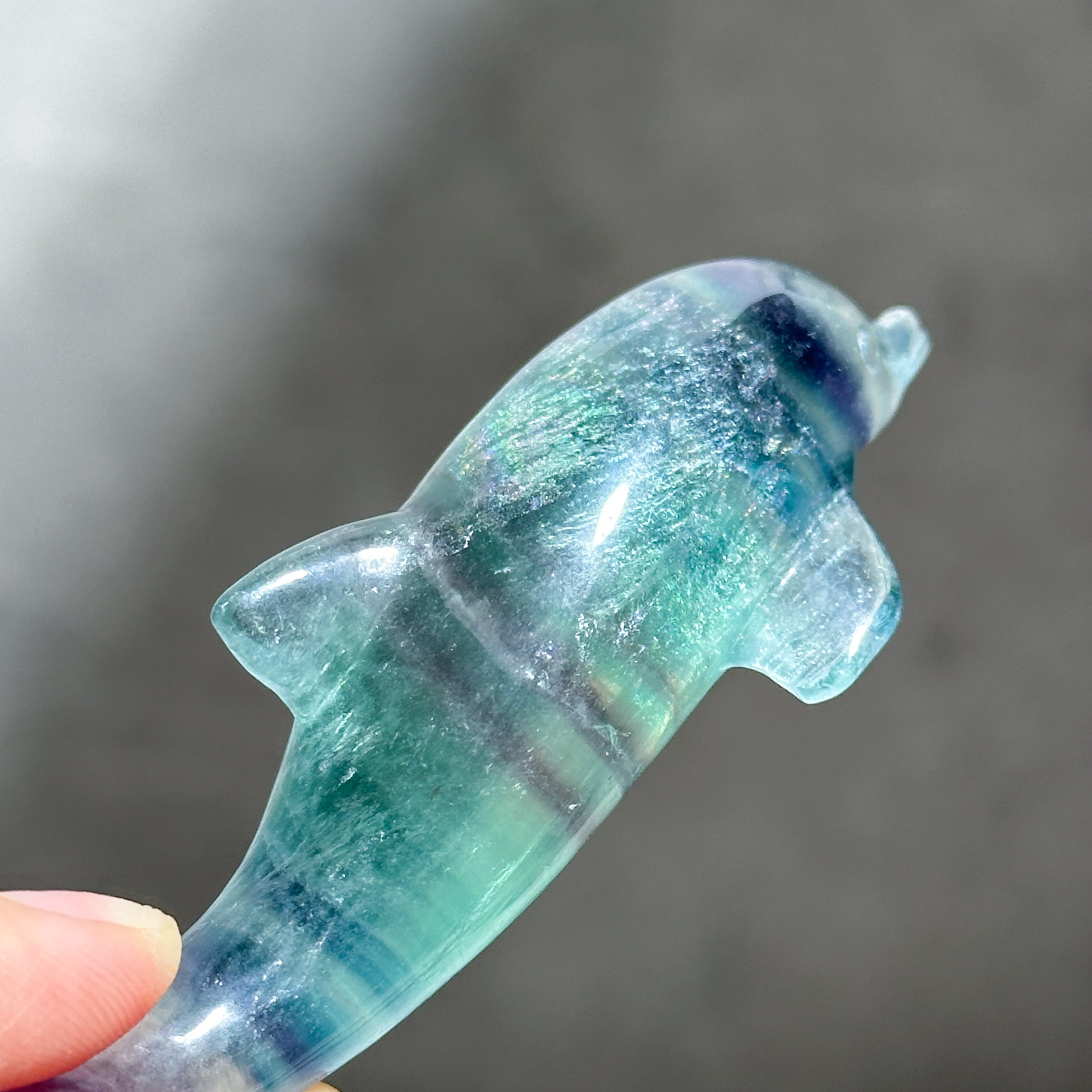 福縁閣】【1点物】ブルーフローライト 68x27x25mm イルカ彫刻_CG5903