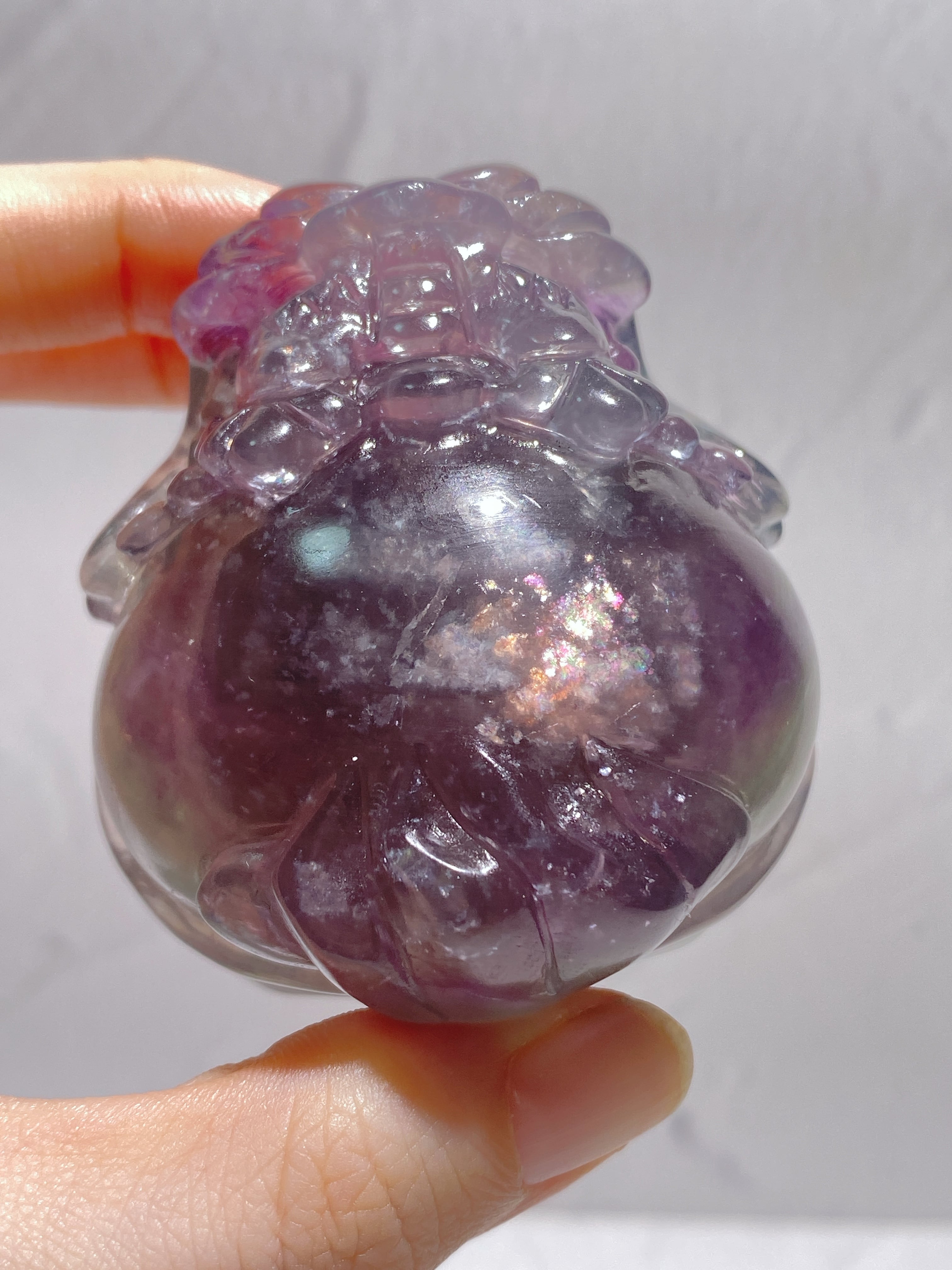 龍亀(ロングイ) | 9rinto