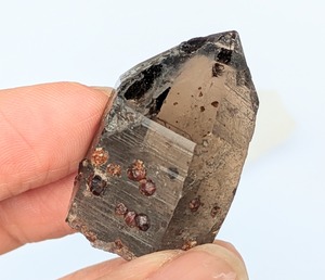 《レア》スモーキー&ガーネット