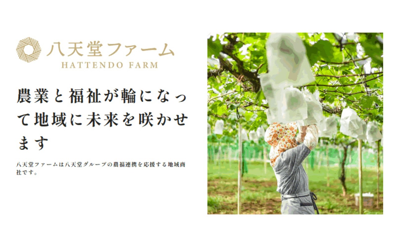 【ノウフクJAS】八天堂ファーム 果実なくりーむパン&バターサンドウィッチセット(CB50)・画像9