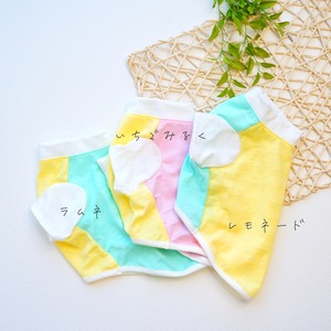 トロピカルアイスキャンデーTシャツ