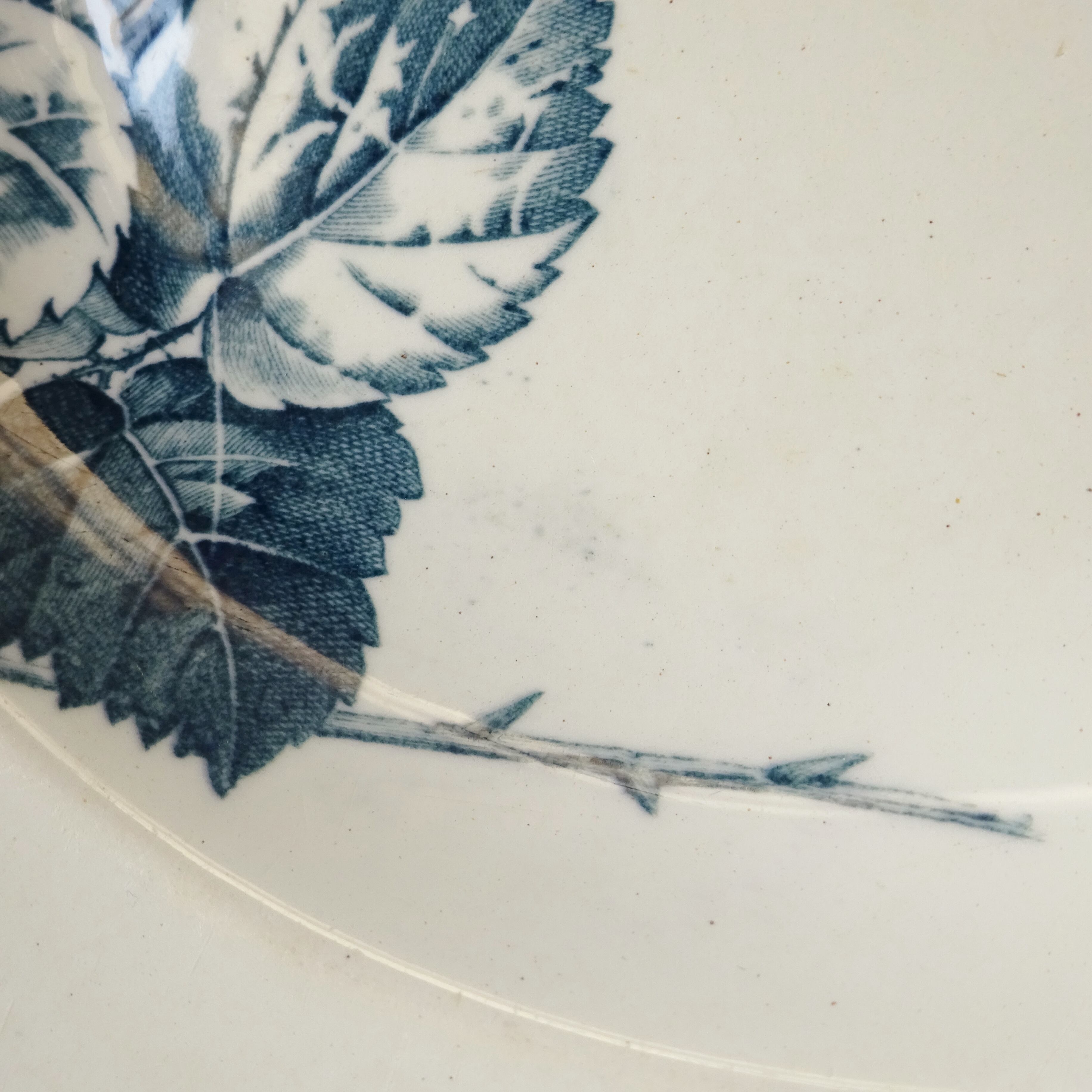 【 Épuisé 】KG Lunéville  modèle《RONCE》Assiette creuse