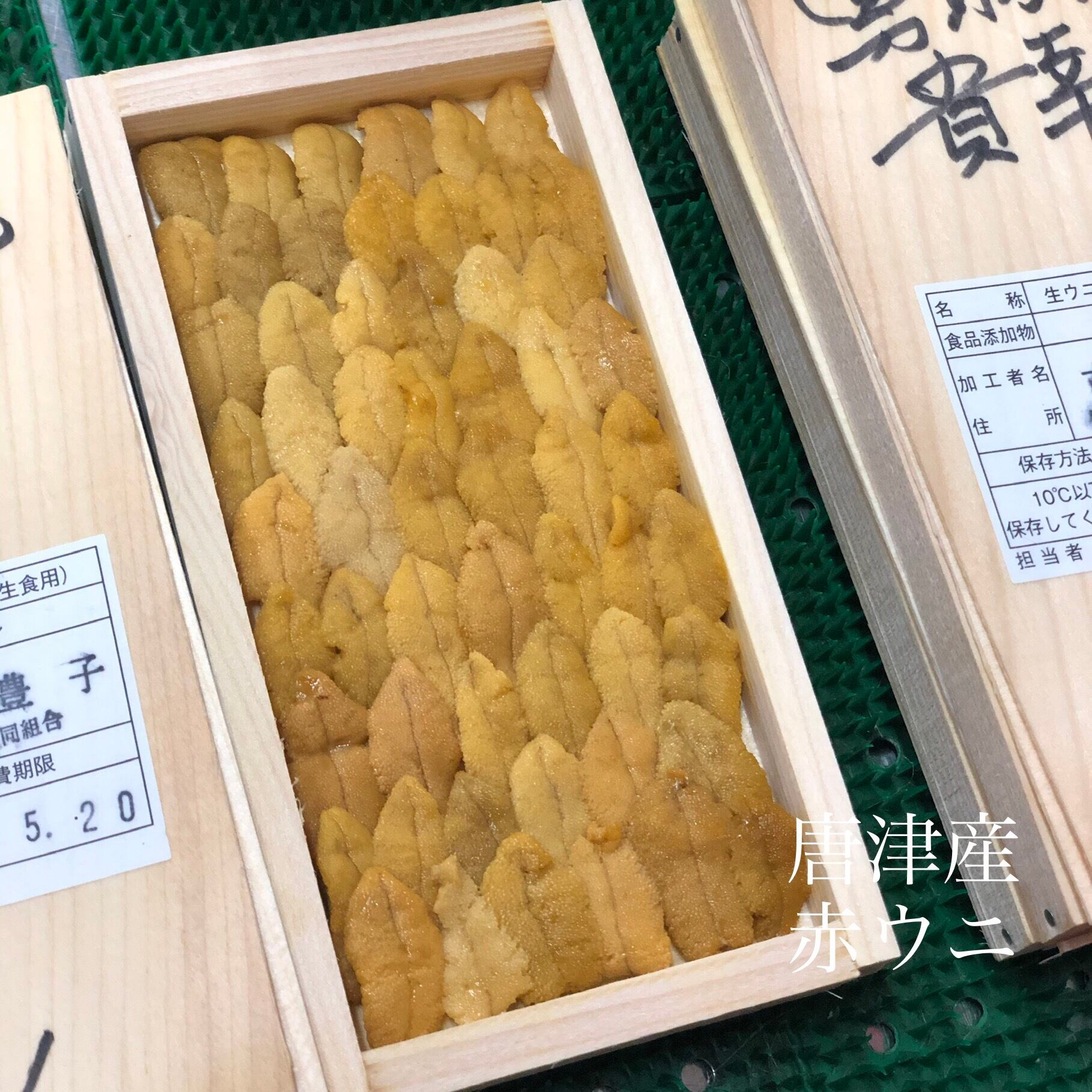 唐津 赤ウニ 50g 豊洲直送 唐津赤ウニ 冷蔵 Okawari 豊洲直送の高級海産物をお届け