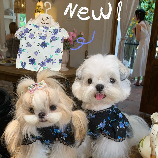 お花のメロウレースブラウス　　3613　