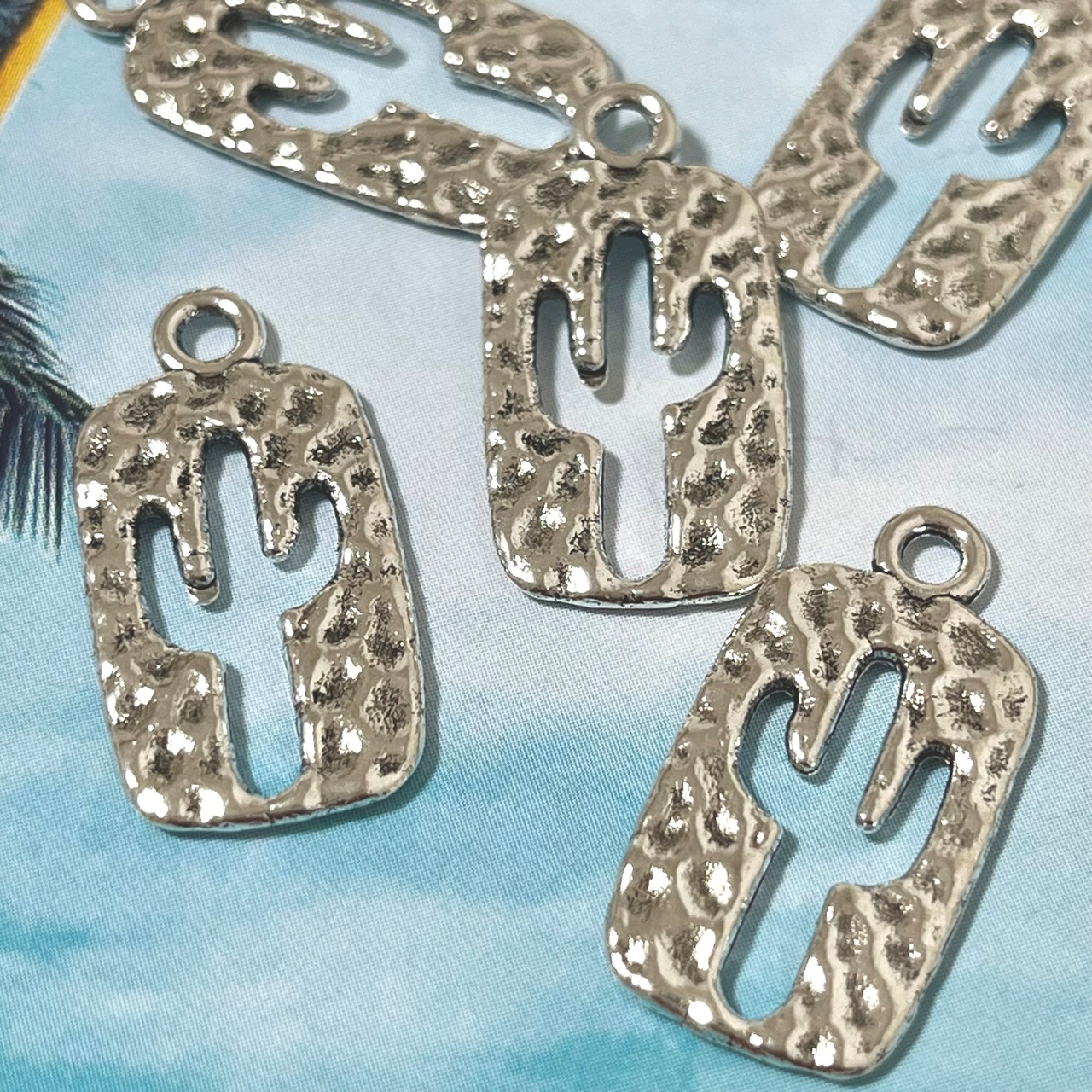 【2個】サボテンチャームIV