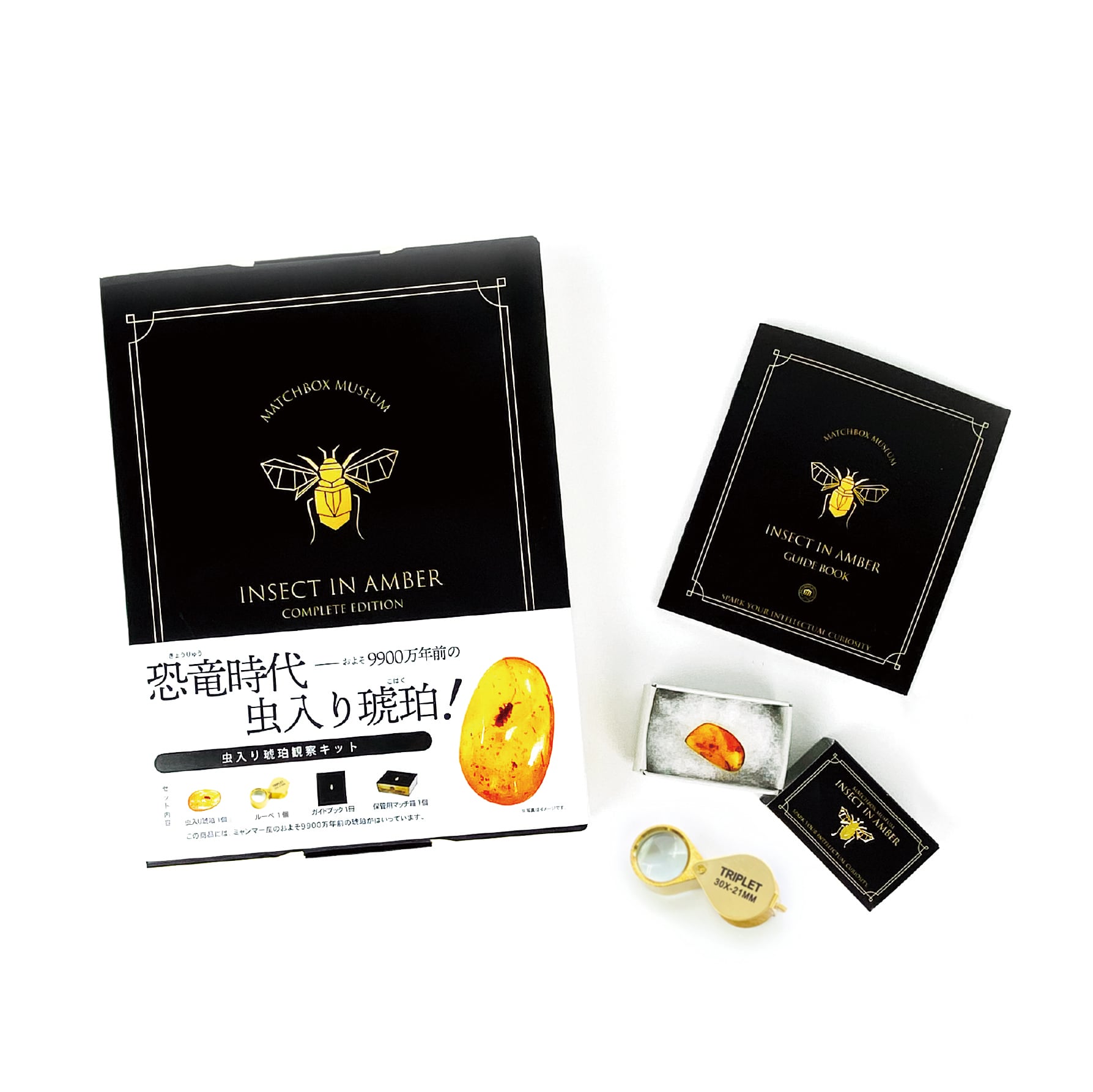 虫入り琥珀 ヴィンテージ コハク アンバー タマムシ 天然琥珀 虫入り