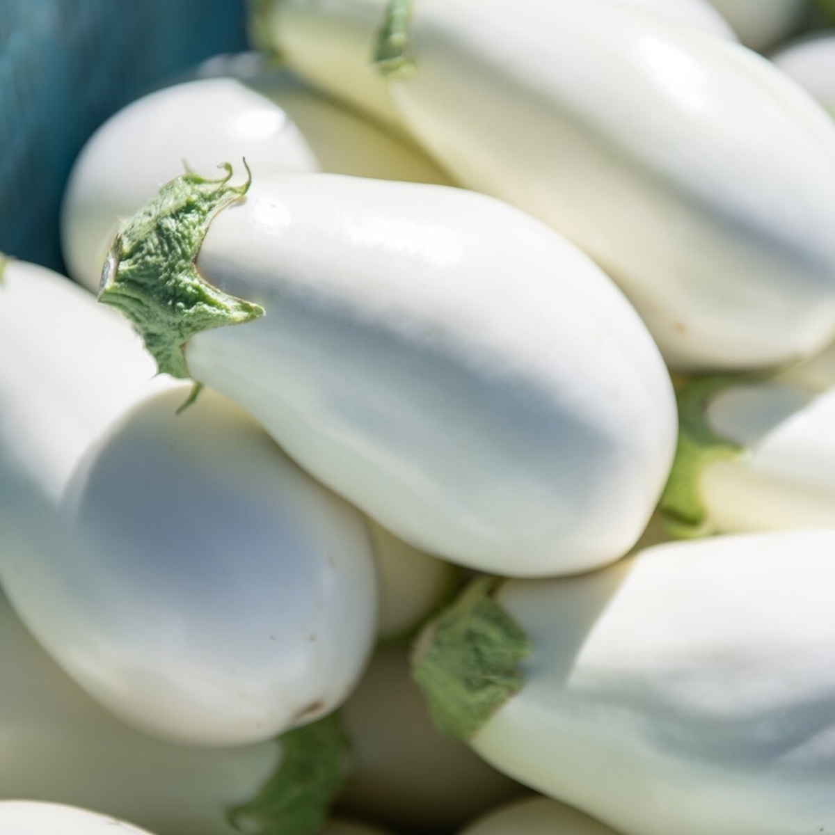 宝石野菜 白なす（9個入） | エイチアイ株式会社