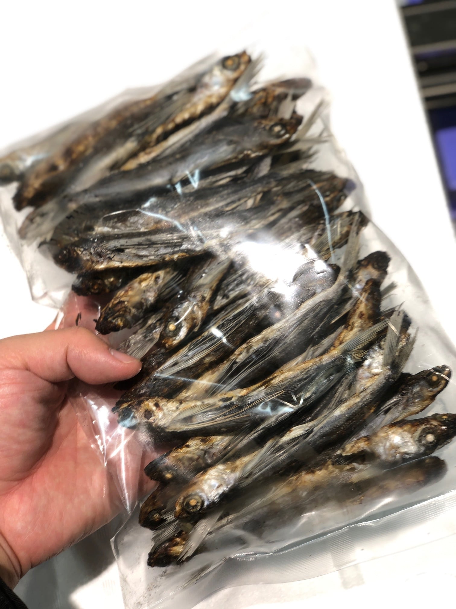 焼きあご 長崎産 300g 出汁用 プロ仕様【焼きアゴ300g】冷凍 豊洲直送