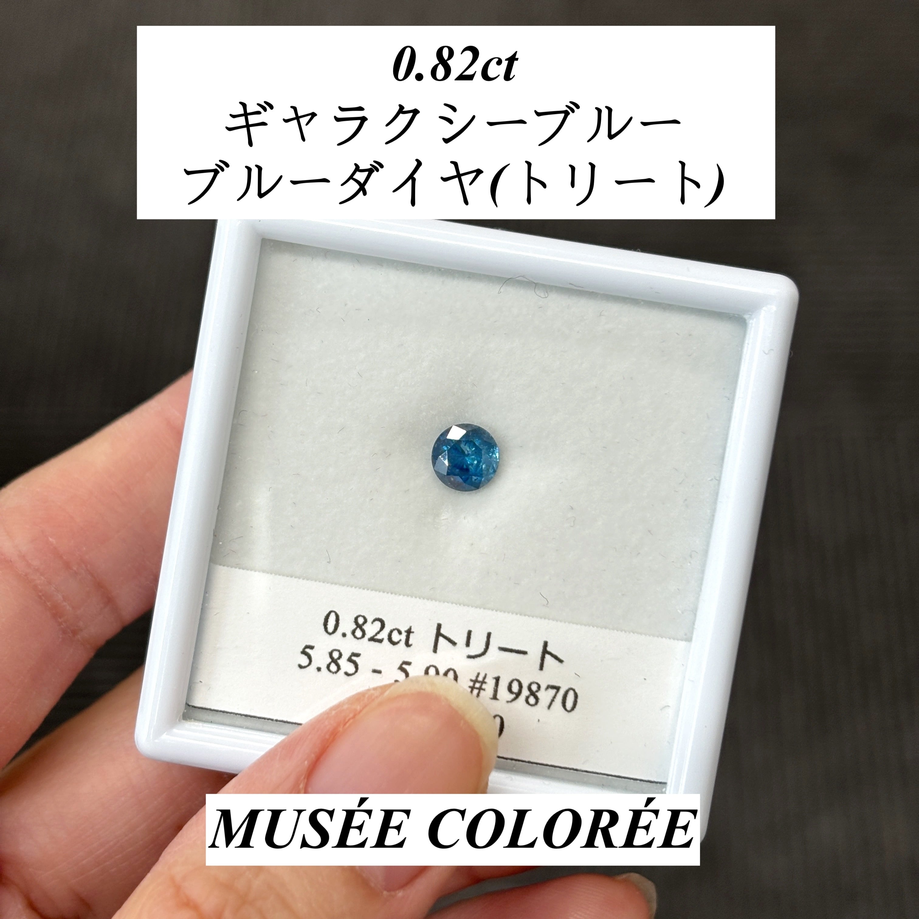 トリートダイヤ (Treated) | MUSÉE COLORÉE