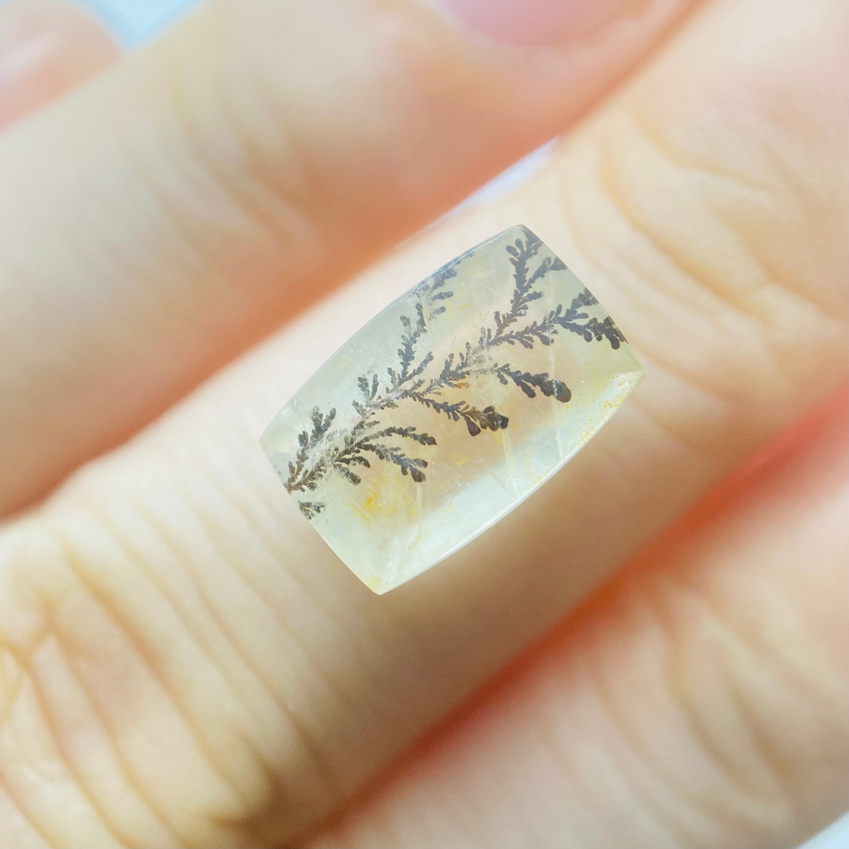 インスタライブご紹介　デンドリティッククオーツ