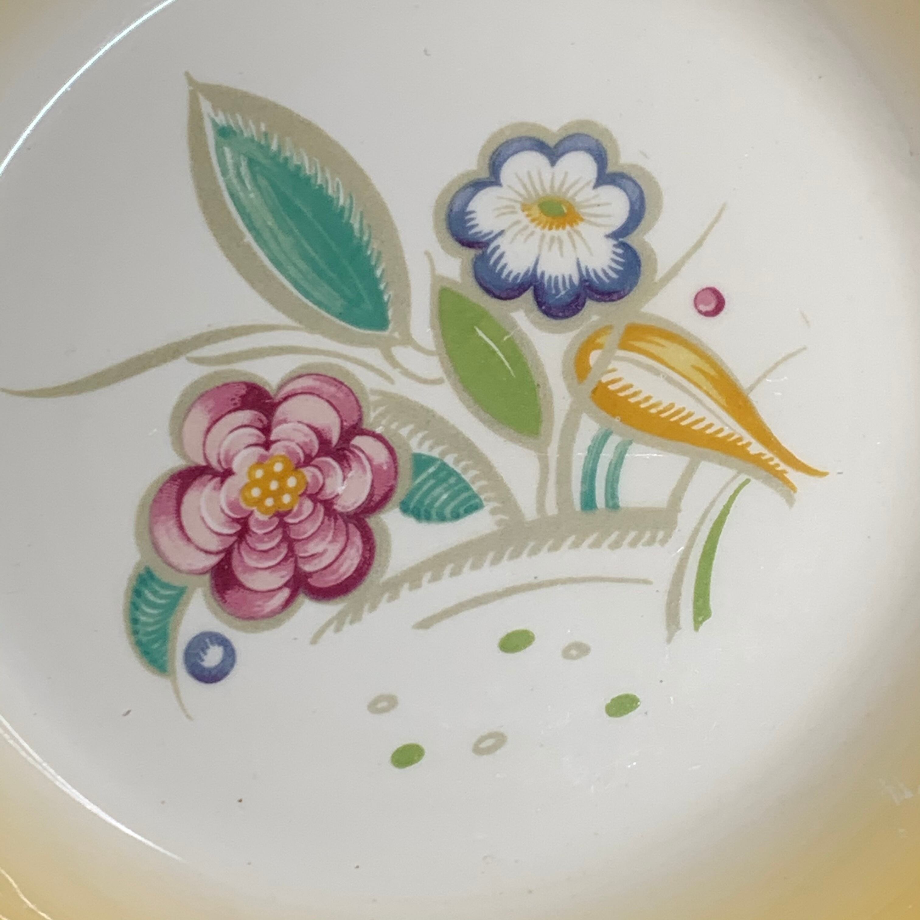 スージークーパー ノーズゲイ パスタ皿