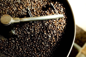 コーヒーの日 10%OFF対象商品【深煎り】ニカラグア　パブロベラスケス　100g（豆・粉）