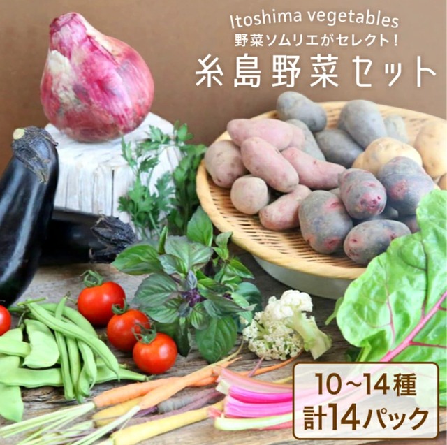 季節の旬の糸島野菜定期購入＊月1回年6回お届けコース