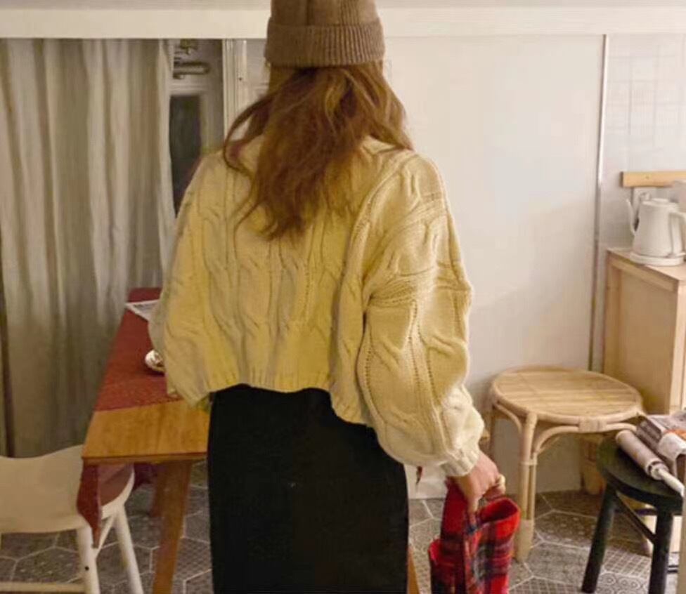 タートルネックケーブル編みニット