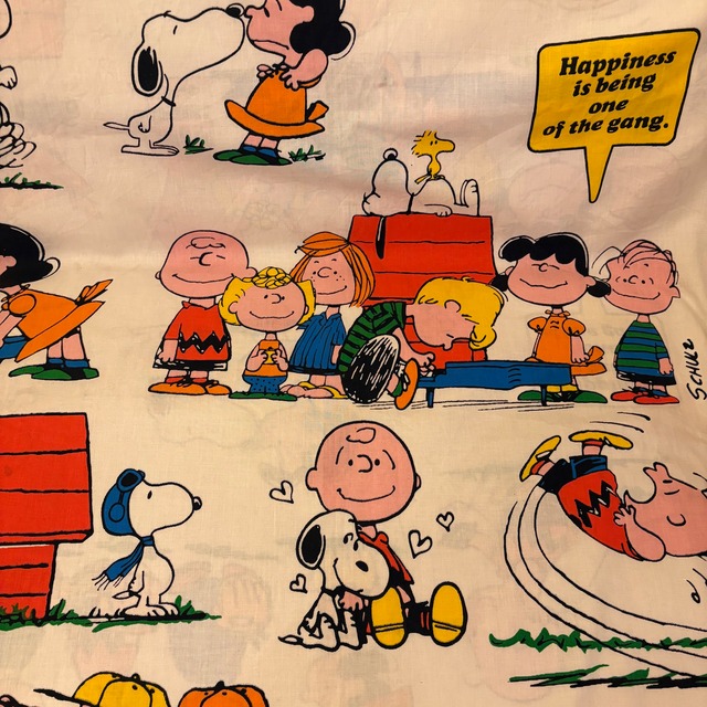 Vintage Peanuts Snoopy Sheets ⑤