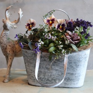 冬から春に楽しむ寄せ植え　和モダンビオラとシックカラーハボタンの北欧風ブリキの寄せ植え　届いてすぐ玄関に飾れる 　プレゼントにもオススメ　