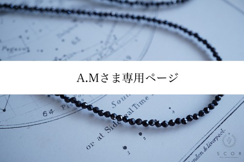 A.Mさま専用ページ