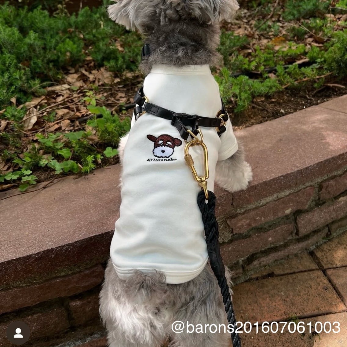 neko dog Tshirts / black,white | schnauzer no neko