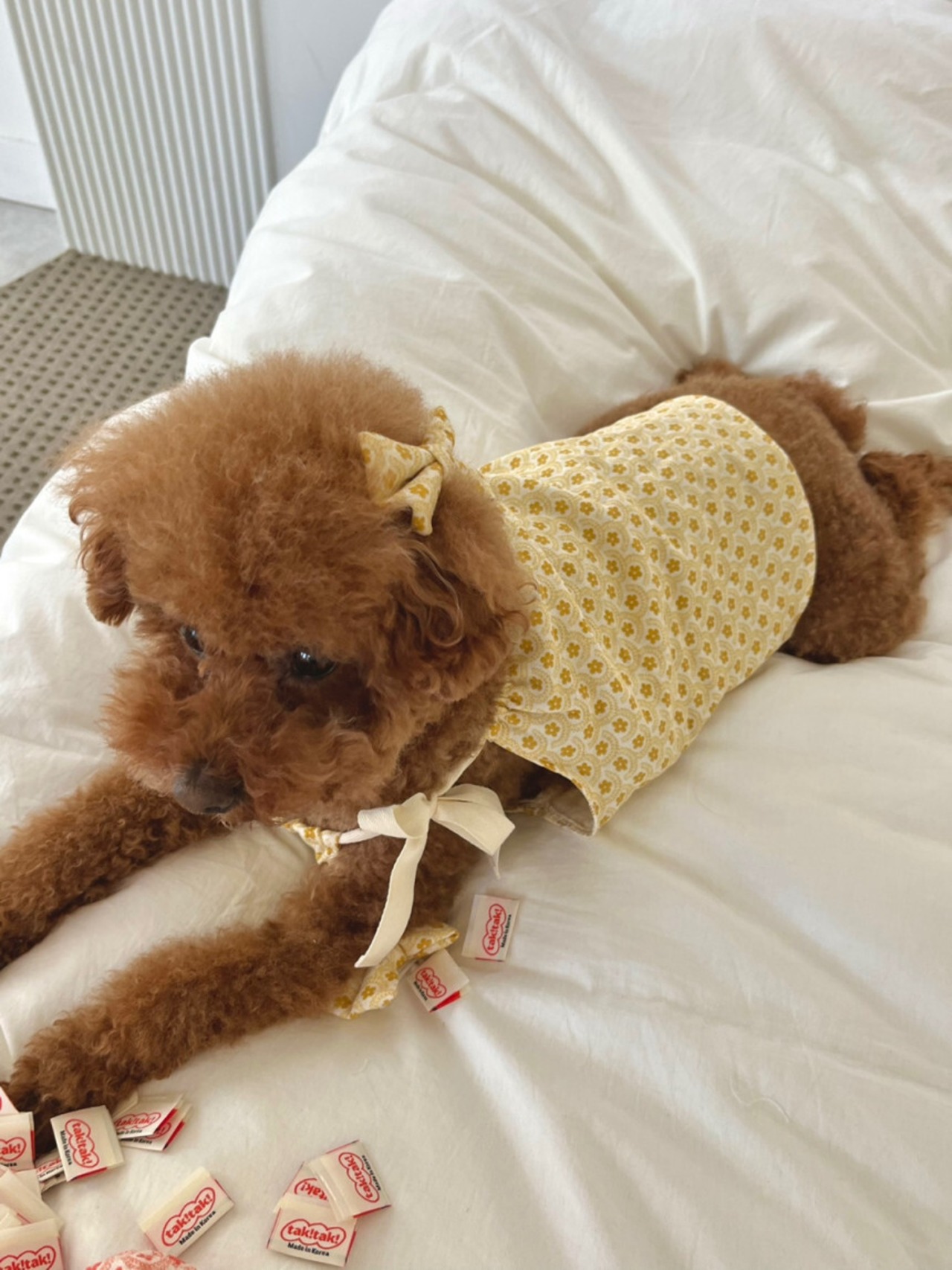 予約【pecoramou select】ALOHA OPS  COUPLE LOOK